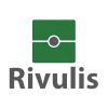 Rivulis