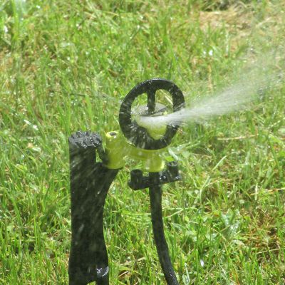 Micro-sprinkler Aquamaster yellow nozzle (head only)