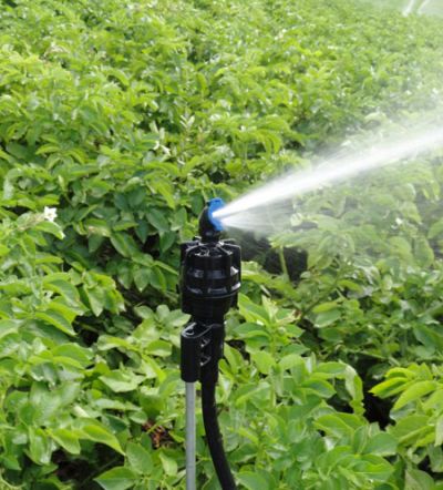 Sprinkler SUPER 10, with regulator, yellow nozzle, 450l/h (1/2" male)